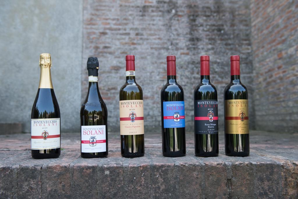 Agriturismo Montevecchio Isolani Monte San Pietro Kültér fotó