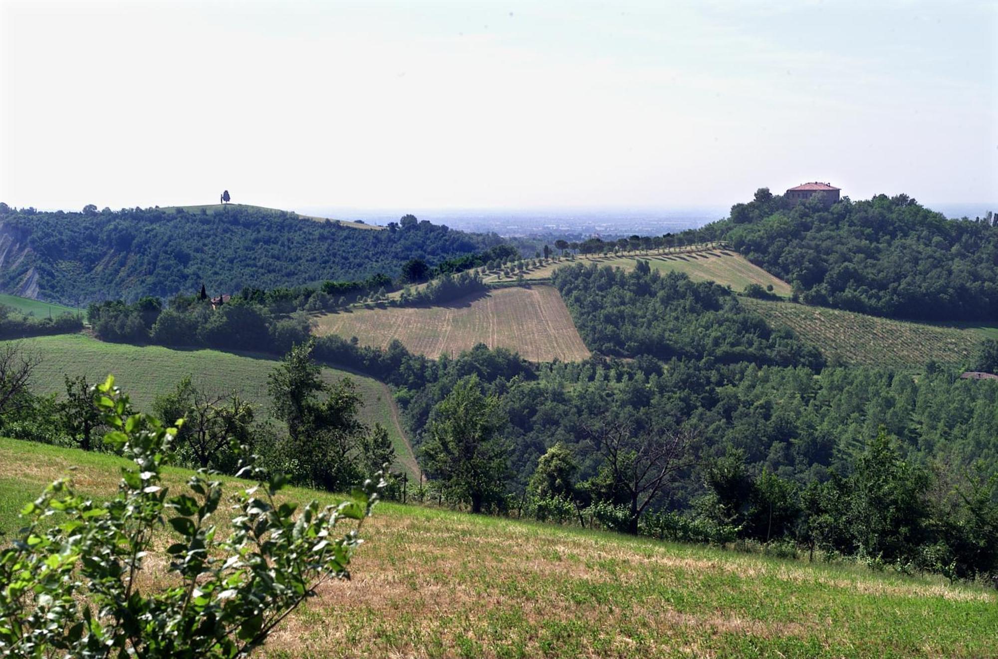 Agriturismo Montevecchio Isolani Monte San Pietro Kültér fotó