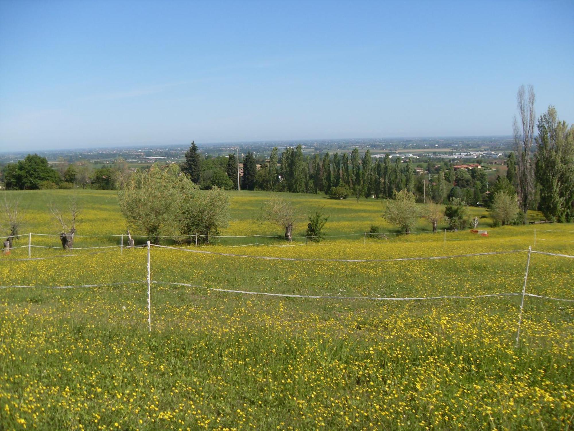 Agriturismo Montevecchio Isolani Monte San Pietro Kültér fotó