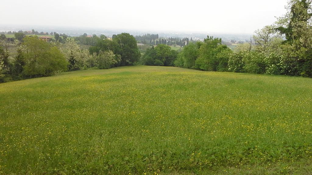 Agriturismo Montevecchio Isolani Monte San Pietro Kültér fotó