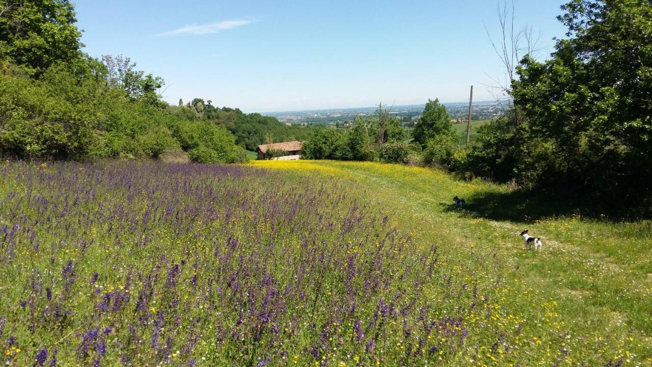 Agriturismo Montevecchio Isolani Monte San Pietro Kültér fotó