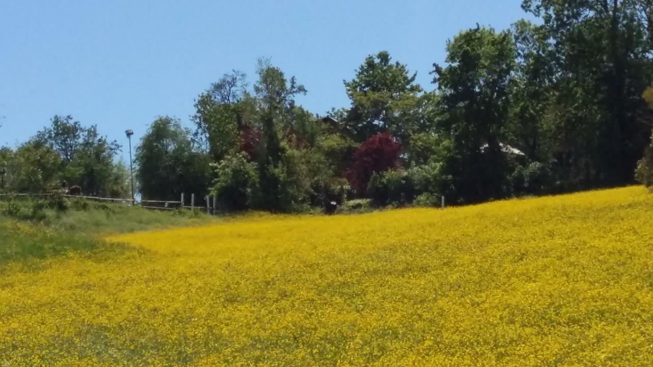 Agriturismo Montevecchio Isolani Monte San Pietro Kültér fotó